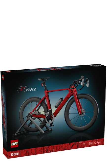 LEGO ICONS-11380 ROAD BIKE