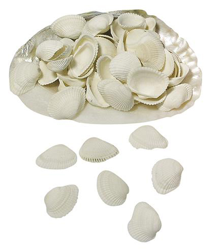 ΚΟΧΥΛΙΑ PEARLY ΛΕΥΚΑ RAYHER