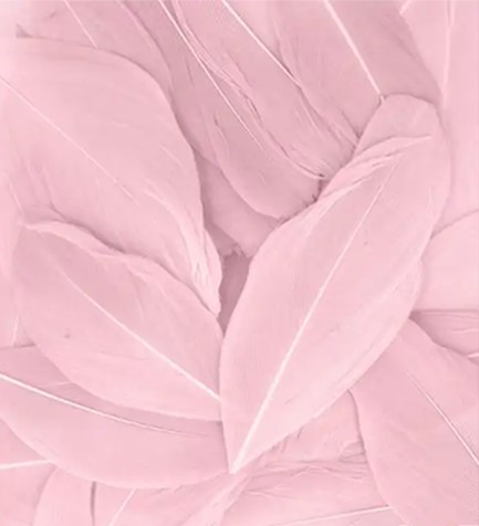 ΦΤΕΡΑ 3γρ.~6cm.BABY PINK
