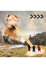 BEAK> - >>>>
