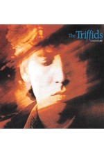 THE TRIFFIDS - CALENTURE