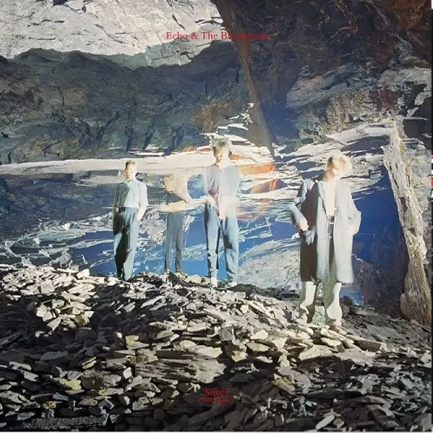 ECHO AND THE BUNNYMEN - SILVER (BF RSD24)