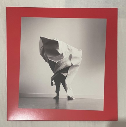 MOTHER MOTHER - GRIEF CHAPTER