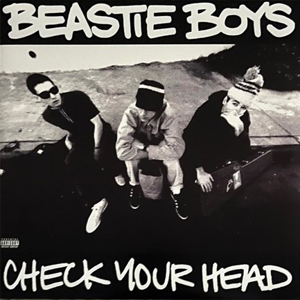 BEASTIE BOYS - CHECK YOUR HEAD (2 LP)