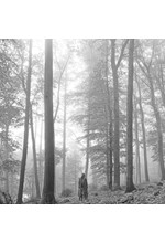 TAYLOR SWIFT - FOLKLORE (2 LP)