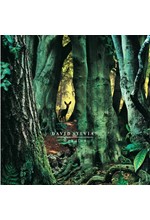 DAVID SYLVIAN - MANAFON (2 LP)