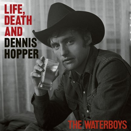 THE WATERBOYS - LIFE, DEATH AND DENNIS HOPPER (2 LP)