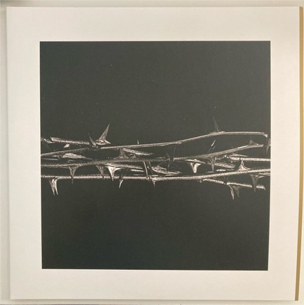 AMENRA - DE DOORN (2 LP)