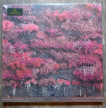 SLEEP TOKEN - EVEN IN ARCADIA (2 LP)