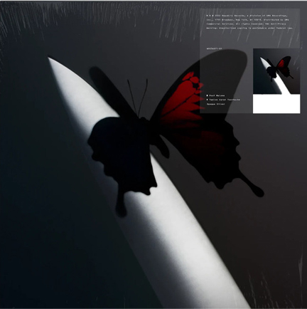 POST MALONE - TWELVE CARAT TOOTHACHE (2 LP)