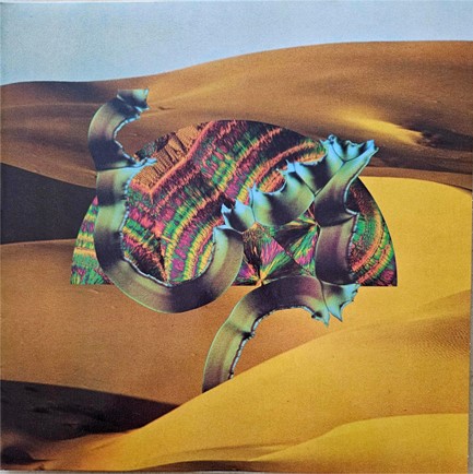 DJANGO DJANGO - DJANGO DJANGO (3 LP)