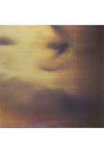 NEW ORDER - STATE OF THE NATION (LTD LP)