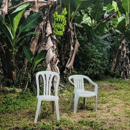 BAD BUNNY - DEBI TIRAR MAS FOTOS (2 LP)