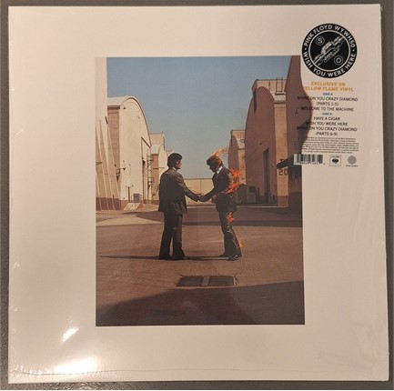 WISH YOU WERE HERE (50TH ANNIVERSARY)