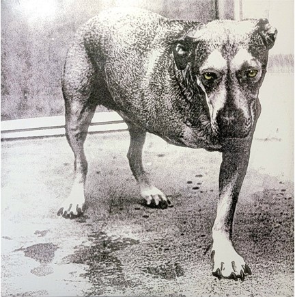 ALICE IN CHAINS - ALICE IN CHAINS (2 LP)