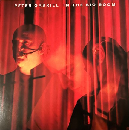 PETER GABRIEL - IN THE BIG ROOM (2LP)
