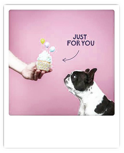 ΚΑΡΤΑ PICKMOTION ΜΟΝΗ JUST FOR YOU CUPCAKE DOG