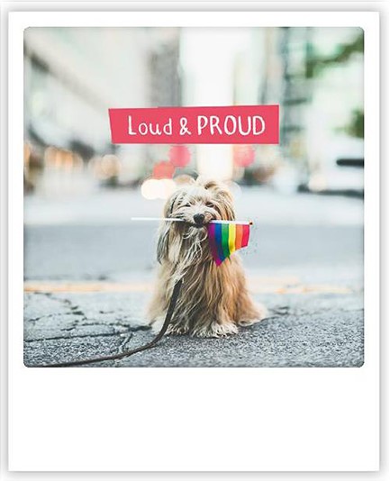 ΚΑΡΤΑ PICKMOTION ΜΟΝΗ LOUD & PROUD