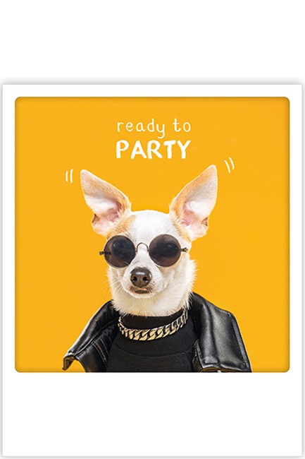 ΚΑΡΤΑ PICKMOTION ΜΟΝΗ READY TO PARTY