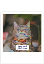 ΚΑΡΤΑ PICKMOTION ΜΟΝΗ YOU ARE PAW SOME