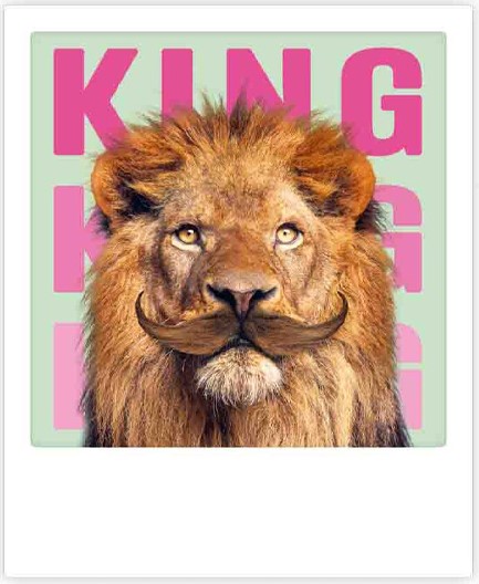 ΚΑΡΤΑ PICKMOTION ΜΟΝΗ KING KING KING LION