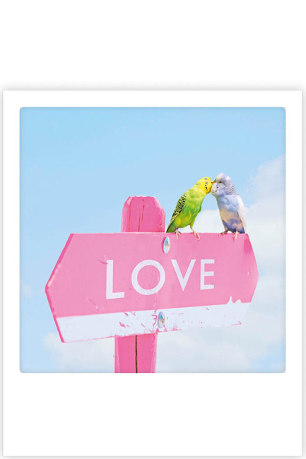 ΚΑΡΤΑ PICKMOTION ΜΟΝΗ LOVE BIRDS