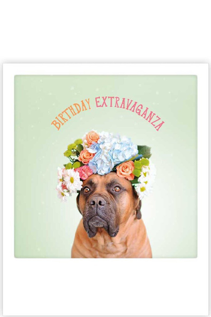 ΚΑΡΤΑ PICKMOTION ΜΟΝΗ BIRTHDAY EXTRAVAGANZA
