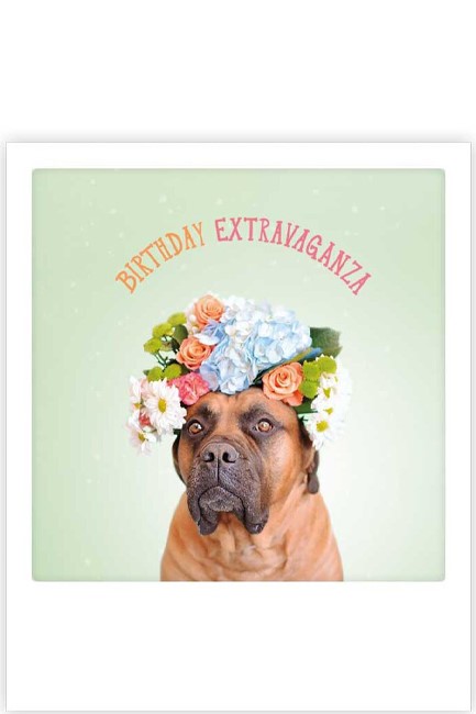 ΚΑΡΤΑ PICKMOTION ΜΟΝΗ BIRTHDAY EXTRAVAGANZA