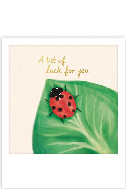 ΚΑΡΤΑΚΙ PICKMOTION ΜΟΝΟ A BIT OF LUCK FOR YOU