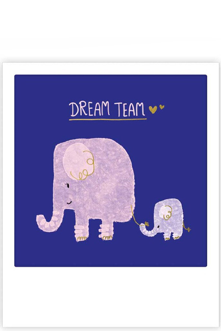 ΚΑΡΤΑΚΙ PICKMOTION ΜΟΝΟ DREAM TEAM ELEPHANTS