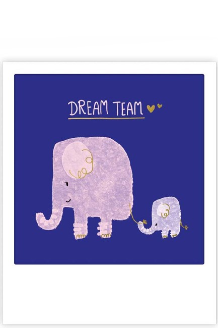 ΚΑΡΤΑΚΙ PICKMOTION ΜΟΝΟ DREAM TEAM ELEPHANTS