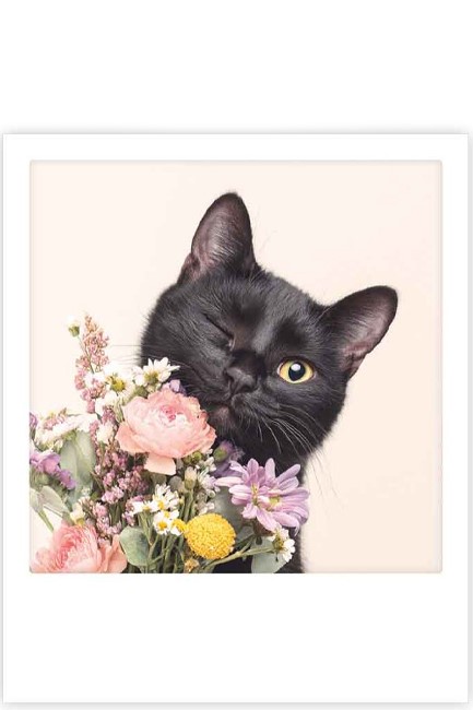 ΚΑΡΤΑ PICKMOTION ΜΟΝΗ WINKING CAT FLOWERS