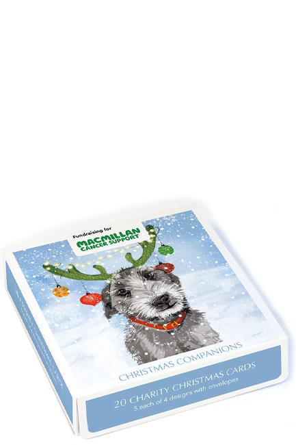 ΚΑΡΤΑ ΕΥΧΕΤΗΡΙΑ XMAS ΣΕΤ 20ΤΕΜ.ΜΕ ΦΑΚΕΛΟ MUSEUMS & GALLERIES CHRISTMAS COMPANIONS