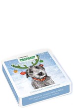 ΚΑΡΤΑ ΕΥΧΕΤΗΡΙΑ XMAS ΣΕΤ 20ΤΕΜ.ΜΕ ΦΑΚΕΛΟ MUSEUMS & GALLERIES CHRISTMAS COMPANIONS