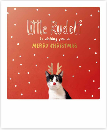 ΚΑΡΤΑ XMAS PICKMOTION ΜΟΝΗ MERRY CHRISTMAS LITTLE RUDOLF