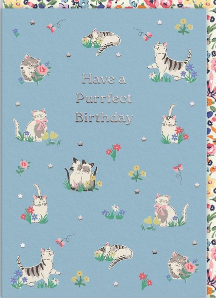 ΚΑΡΤΑ OHH DEER CATH KIDSTON PURRFECT KITTENS 11501