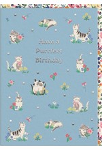 ΚΑΡΤΑ OHH DEER CATH KIDSTON PURRFECT KITTENS 11501
