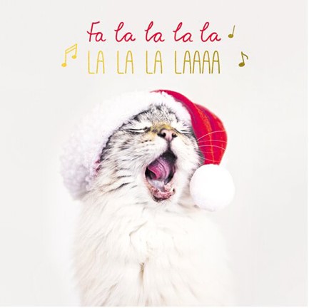 ΚΑΡΤΑΚΙ XMAS PICKMOTION ΜΟΝΟ FA LA LA CAT