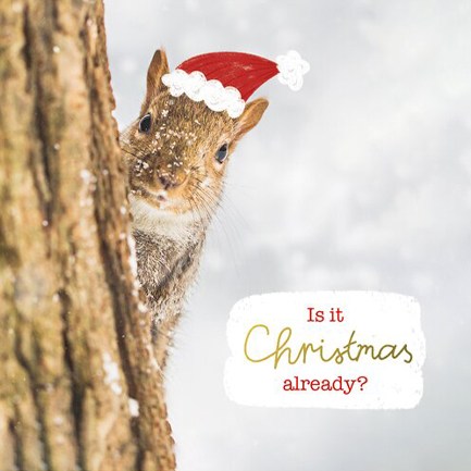 ΚΑΡΤΑΚΙ XMAS PICKMOTION ΜΟΝΟ IS IT CHRISTMAS ALREADY SQUIRREL