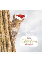 ΚΑΡΤΑΚΙ XMAS PICKMOTION ΜΟΝΟ IS IT CHRISTMAS ALREADY SQUIRREL