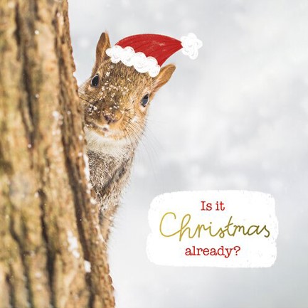 ΚΑΡΤΑΚΙ XMAS PICKMOTION ΜΟΝΟ IS IT CHRISTMAS ALREADY SQUIRREL