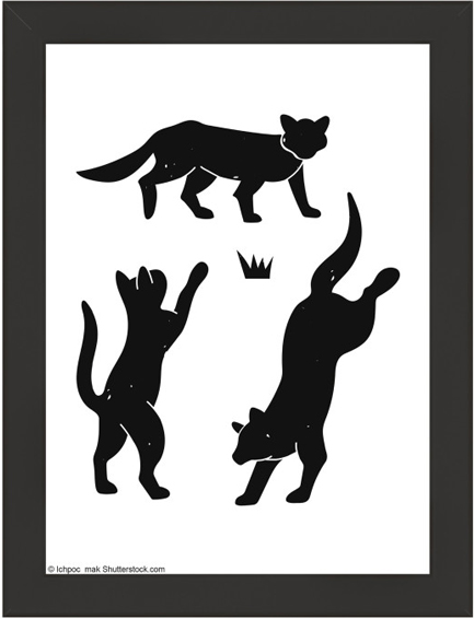 ΚΟΡΝΙΖΑ WALTHER LIV 13*18CM HDHL318B PLEXI ΜΑΥΡΟ