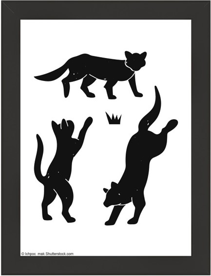 ΚΟΡΝΙΖΑ WALTHER LIV 13*18CM HDHL318B PLEXI ΜΑΥΡΟ