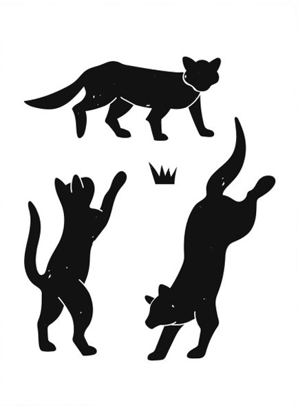 ΚΟΡΝΙΖΑ WALTHER LIV 13*18CM HDHL318H PLEXI