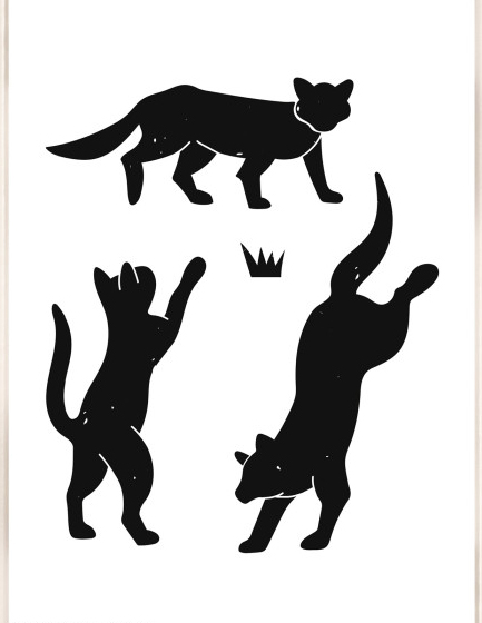 ΚΟΡΝΙΖΑ WALTHER LIV 13*18CM HDHL318W PLEXI ΑΣΠΡΟ