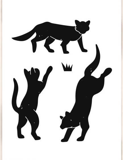 ΚΟΡΝΙΖΑ WALTHER LIV 13*18CM HDHL318W PLEXI ΑΣΠΡΟ