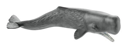 ΦΙΓΟΥΡΑ SCHLEICH ΦΑΛΑΙΝΑ ΦΥΣΗΤΗΡΑΣ