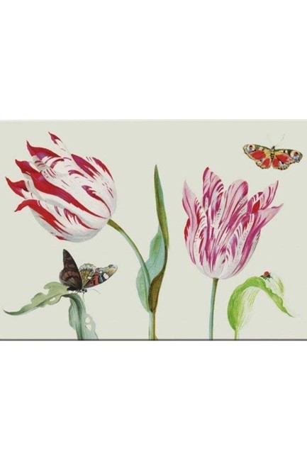 ΣΟΥΜΕΝ 29*43cm.BB JACOB MARREL-TULIPS
