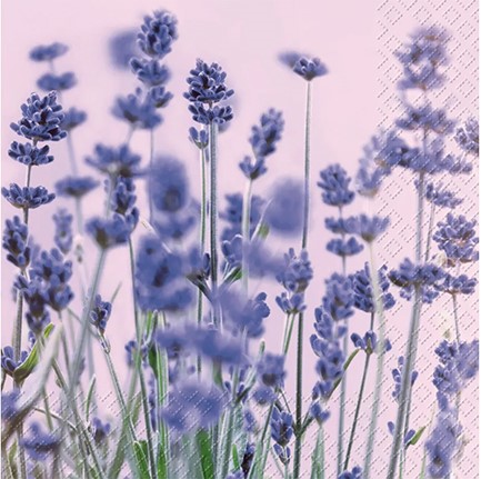 ΧΑΡΤΟΠΕΤΣΕΤΕΣ 33*33cm.20ΤΕΜ.VIOLET