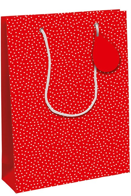 ΤΣΑΝΤΑ ΔΩΡΟΥ 21,5*10,2*25,3cm.HEARTS